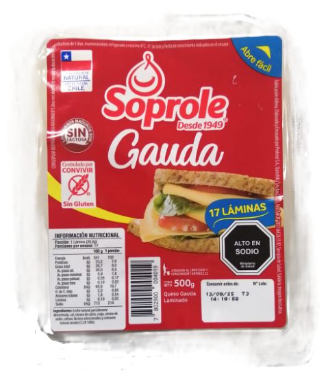 GAUDA500